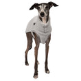 Load image into Gallery viewer, Teddy Shirt Iggy Light Grey – Ganzkörperansicht – stilvolle Hundekleidung für Dackel und Italienische Windspiele