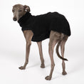 Load image into Gallery viewer, Teddy Shirt Iggy Schwarz – Hundekleidung für Dackel, Windspiele und Whippets – Rückenansicht