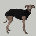 Load image into Gallery viewer, Teddy Shirt Iggy Schwarz – hochwertige Hundekleidung für Dackel, Windspiele und Windhunde von Karma Hund Berlin – Ganzkörperansicht am Hund