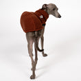 Load image into Gallery viewer, Teddy Shirt Iggy Brown – Hundekleidung für Dackel, Windspiele und Whippets – Rückenansicht