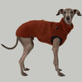 Load image into Gallery viewer, Teddy Shirt Iggy Brown – hochwertige Hundekleidung für Dackel, Windspiele und Windhunde von Karma Hund Berlin – Ganzkörperansicht am Hund