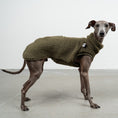 Load image into Gallery viewer, TEDDY SHIRT Iggy Dark Olive