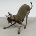 Load image into Gallery viewer, TEDDY SHIRT Iggy Dark Olive