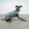 Load image into Gallery viewer, TEDDY SHIRT Iggy Mint