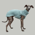 Load image into Gallery viewer, TEDDY SHIRT Iggy Mintblau