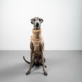 Load image into Gallery viewer, TEDDY SHIRT Iggy Sand Beige
