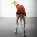 Load image into Gallery viewer, TEDDY SHIRT Windhund Rostbraun