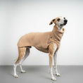 Load image into Gallery viewer, TEDDY SHIRT Windhund Sand Beige
