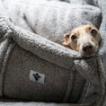 Load image into Gallery viewer, Teddy Shopper GREY