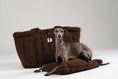 Load image into Gallery viewer, Italienisches Windspiel ruht im braunen Teddy Shopper von Karma Hund – perfektes Hundebett für Restaurant, Café oder Reisen.