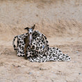 Load image into Gallery viewer, Teddy Shopper Leo Schwarz