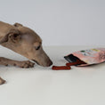 Load image into Gallery viewer, VEGDOG Beevys