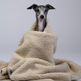 Load image into Gallery viewer, Ein Hund ruht eingekuschelt auf der warmen, dicken Kuscheldecke aus Fleece und Teddy Material.