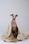 Load image into Gallery viewer, Ein Windspiel kuschelt sich in die gefaltete Hundedecke und genießt die weiche Struktur.