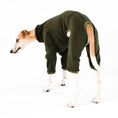 Load image into Gallery viewer, Whippet Overall Dark Olive