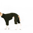 Load image into Gallery viewer, Whippet Fleece Overall dark Olive