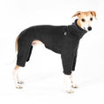Load image into Gallery viewer, Whippet Fleece Overall Anthrazit