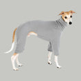 Load image into Gallery viewer, Whippet Fleece Overall Light Grey