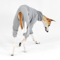 Load image into Gallery viewer, Whippet Fleece Overall Light Grey