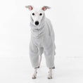 Load image into Gallery viewer, Whippet Jumper Teddy