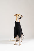 Load image into Gallery viewer, Whippet posiert im schwarzen Karma Hund Fleece-Pullover – hochwertige Hundebekleidung im modernen Studio-Look.
