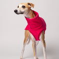 Load image into Gallery viewer, Whippet Windhund Fleece Long Shirt bequemer Passform
