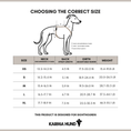 Load image into Gallery viewer, Whippet Harness Size Chart 2025