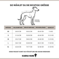 Load image into Gallery viewer, Whippet Kleidung Masstabelle Deutsch 2025