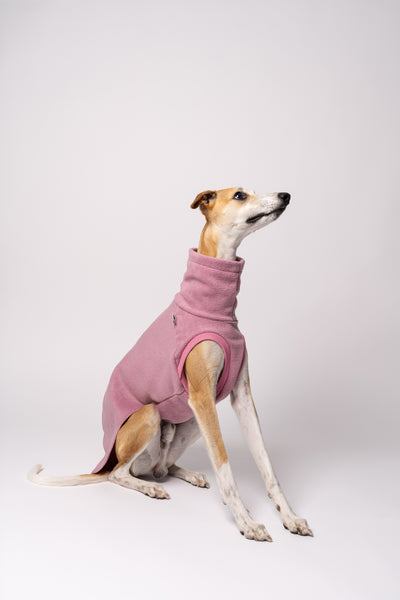 Whippet im ärmellosen Long Shirt – idealer Schnitt für maximale Bewegungsfreiheit