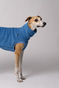 Load image into Gallery viewer, Galgohündin trägt handgenähtes Hundeshirt aus Polar Fleece – perfekt angepasst für lange Rücken und schmale Taillen