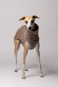 Load image into Gallery viewer, Whippet im Long Shirt in Walnut – stilvolle Windhundmode mit wildem Muster und bequemer Passform