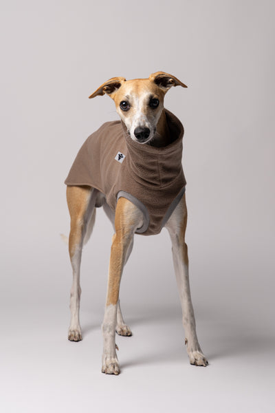 Whippet im Long Shirt in Walnut – stilvolle Windhundmode mit wildem Muster und bequemer Passform