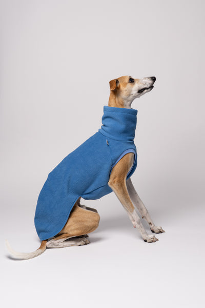 Podenco mit bequemem Fleece-Pullover – atmungsaktive, warme Kleidung für Windhundrassen