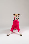Load image into Gallery viewer, Whippet im Karma Hund Fleece-Pullover in Magenta – weiches Material und modischer Look im Studio.