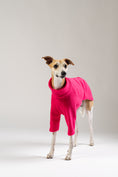 Load image into Gallery viewer, Modebewusster Whippet im Fleece-Pullover in kräftigem Magenta von Karma Hund – kuschelig und trendbewusst.