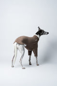 Load image into Gallery viewer, Karma Hund Pullover Walnut: Whippet in ruhiger, aufmerksamer Haltung