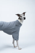 Load image into Gallery viewer, Seitliche Ansicht: Whippet im hellgrauen Fleecepullover – schlicht, zeitlos, bequem