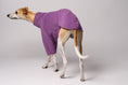 Load image into Gallery viewer, Whippet in Bewegung in Fleece Pullover - bequeme und funktionale Windhundbekleidung Made in Germany