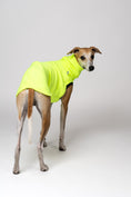 Load image into Gallery viewer, Windhundmode mit Statement: Neon Yellow - Shirt am Whippet Rüden