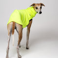 Load image into Gallery viewer, Windhundmode mit Statement: Neon Yellow - Shirt am Whippet Rüden