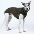 Load image into Gallery viewer, Windhundmode in Dark Olive – Long Shirt sitzt perfekt am schlanken Körper des stehenden Whippets