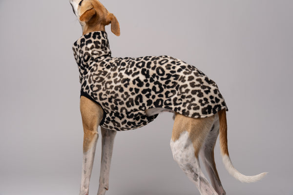 Whippet-Shirt in Leo – perfekte Verarbeitung für empfindliche Windhundhaut