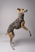 Load image into Gallery viewer, Whippet in Bewegung im Long Shirt in Leo – funktionale Windhundkleidung für aktive Hunde