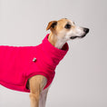 Load image into Gallery viewer, Detailaufnahme Fleece Shirt für Windhunde in Pink