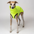 Load image into Gallery viewer, Fleece-Shirt in Neon Yellow – funktionales Design für Sichtbarkeit und Stil