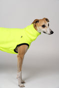 Load image into Gallery viewer, Junger Whippet im auffälligen Neon Yellow Long Shirt – ideal für graue Tage