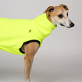 Load image into Gallery viewer, Junger Whippet im auffälligen Neon Yellow Long Shirt – ideal für graue Tage