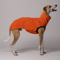 Load image into Gallery viewer, Whippet im Long Shirt in Pumpkin – atmungsaktives, bequemes Fleece-Outfit