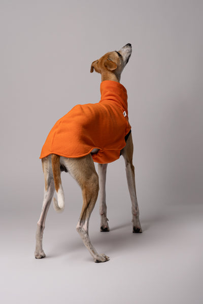 Ansicht von hinten - Whippet in bequemen Long Shirt aus Polar Fleece