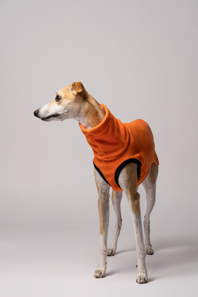 Windhund in hangefertigtem Shirt aus Berlin - Qualität, Design und perfekte Passform Made in Germany
